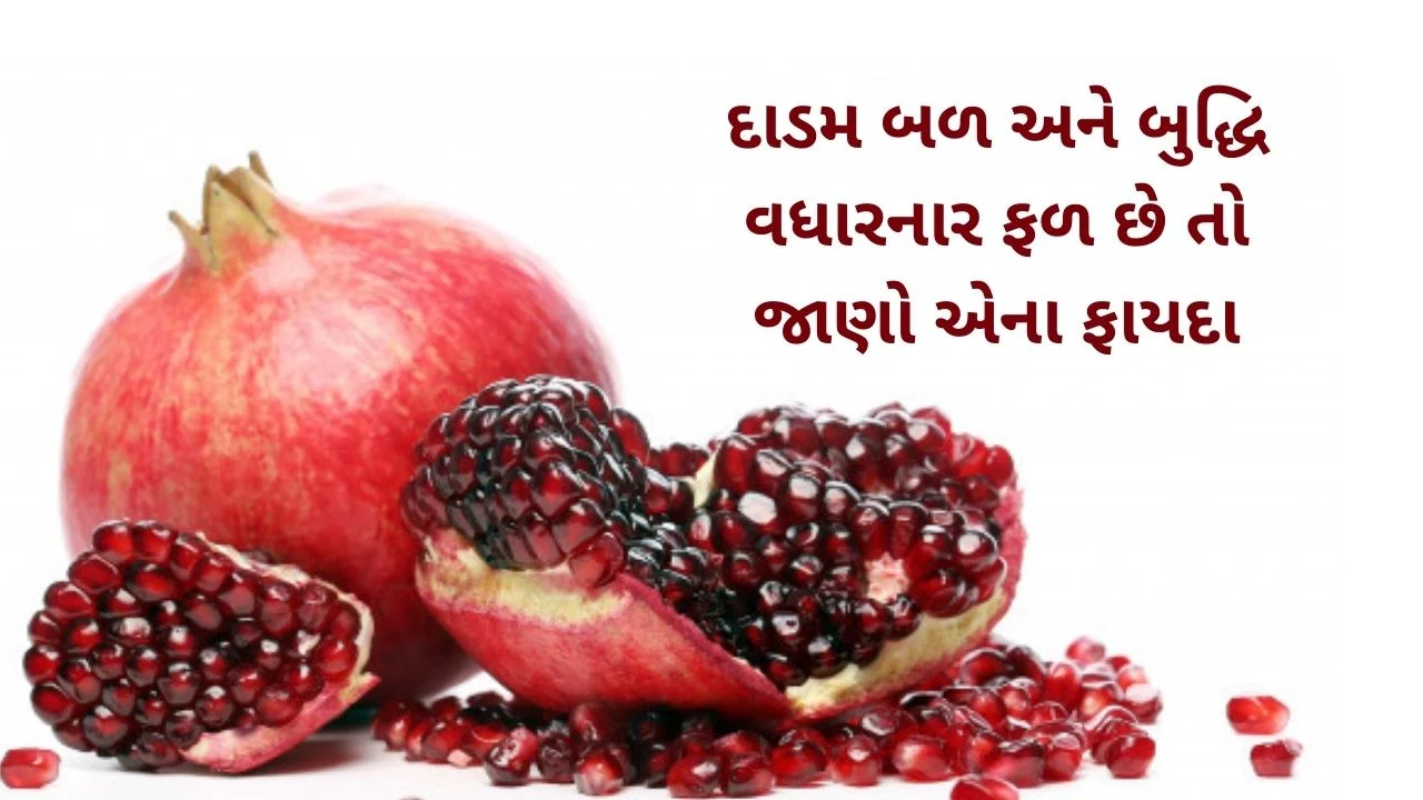 dadam na faida gujarati