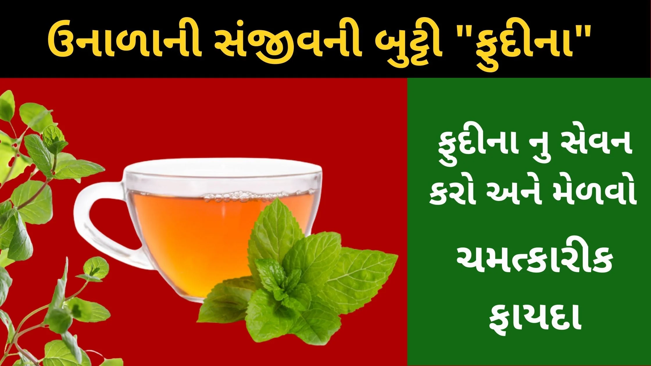 Fudino khavana fayda in gujarati