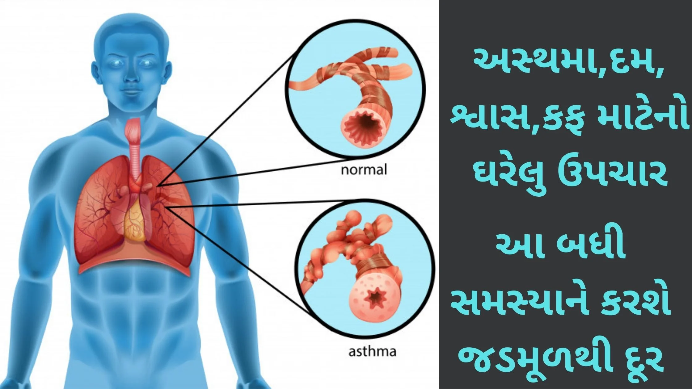 asthma no upay in gujarati