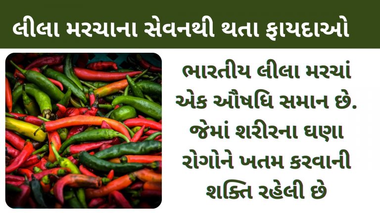 લીલા મરચાં એક ઔષધિ સમાન છે, ભયંકર બીમારીઓમાં ફાયદાકારક છે લીલા મરચા