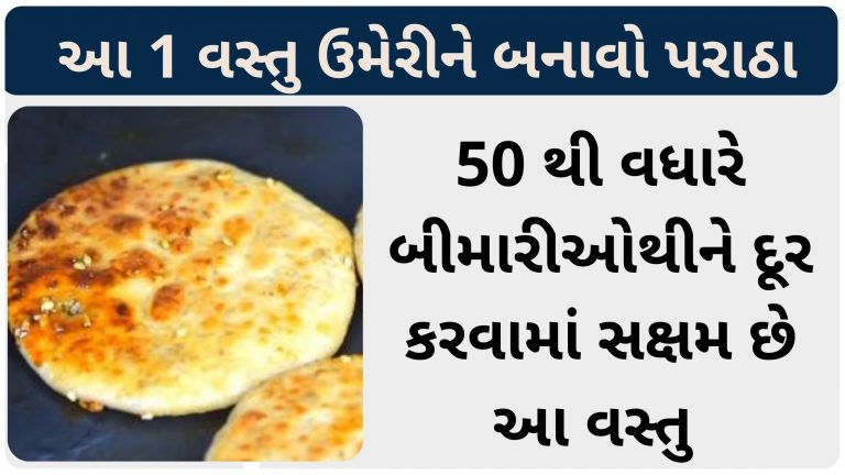 શિયાળામાં આ 1 વસ્તુ ઉમેરીને બનાવો પરાઠા, 50 થી વધારે બીમારીઓથીને દૂર કરવામાં સક્ષમ છે આ વસ્તુ
