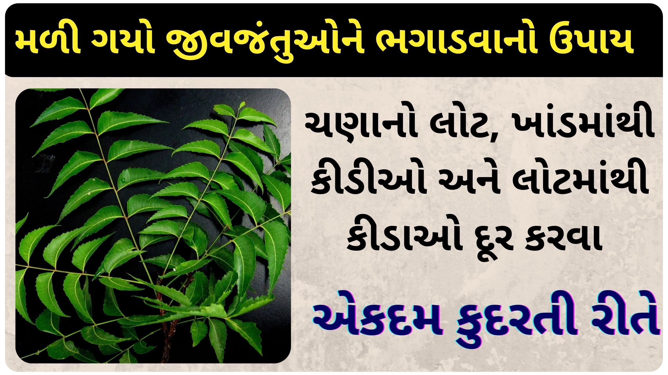 neem leaves benefits in gujarati