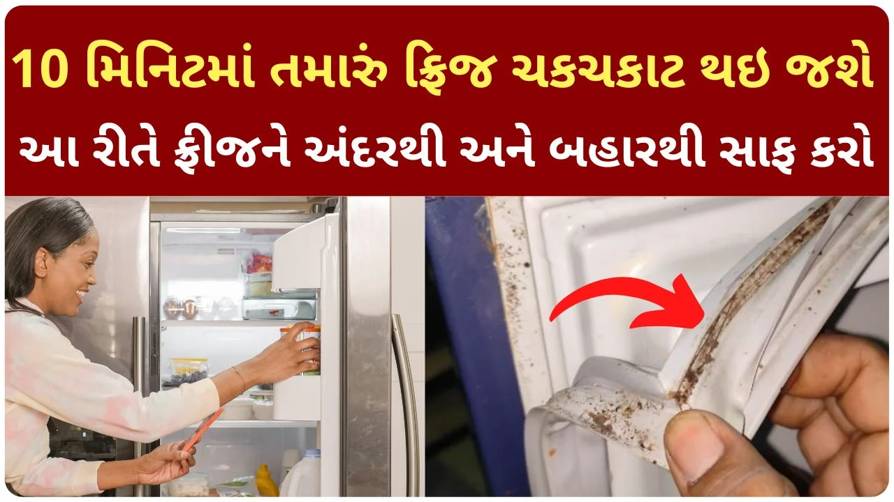 fridge cleaning tips in gujarati