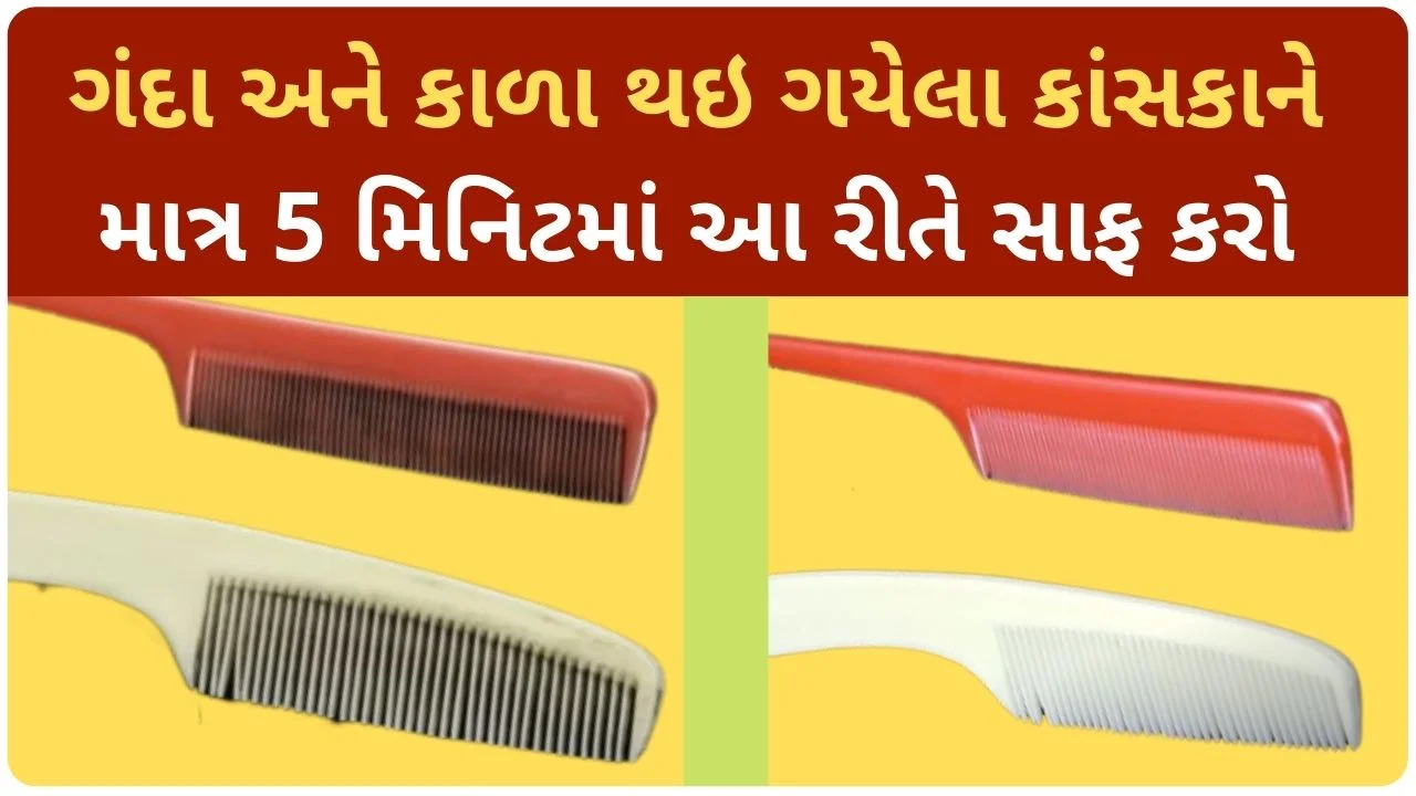 kansako saf karvani rit