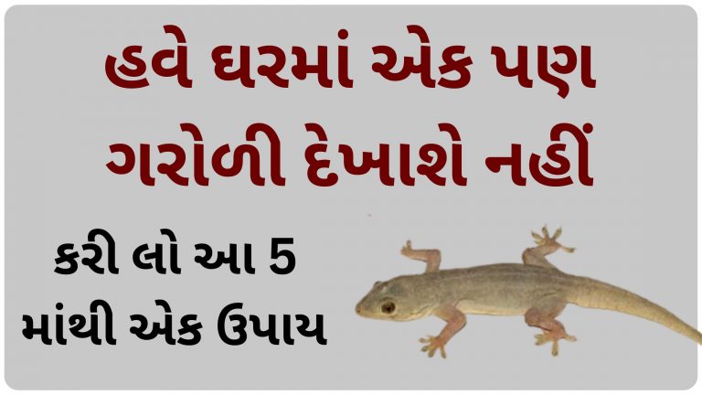 હવે ઘરમાં એક પણ ગરોળી દેખાશે નહીં, કરી લો આ પાંચમાંથી એક ઉપાય