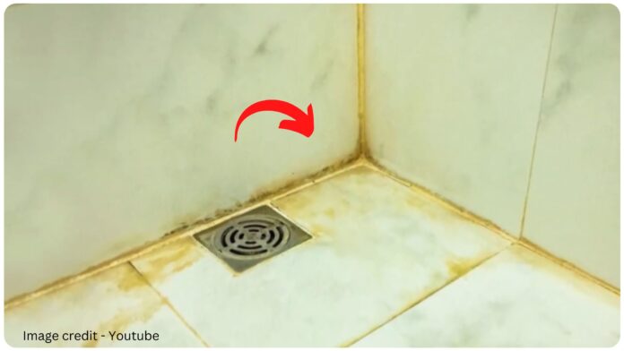 bathroom tiles cleaning tips in gujarati language