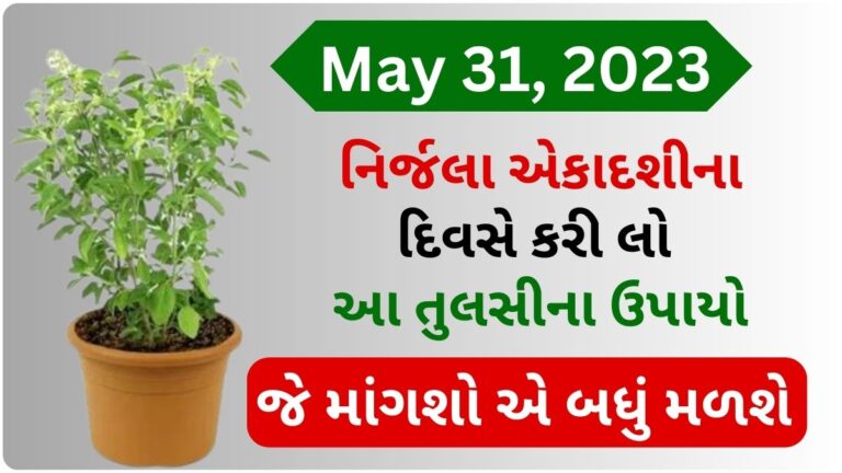 નિર્જલા એકાદશીના દિવસે કરી લો આ તુલસીના ઉપાયો, જે માંગશો એ બધું મળશે