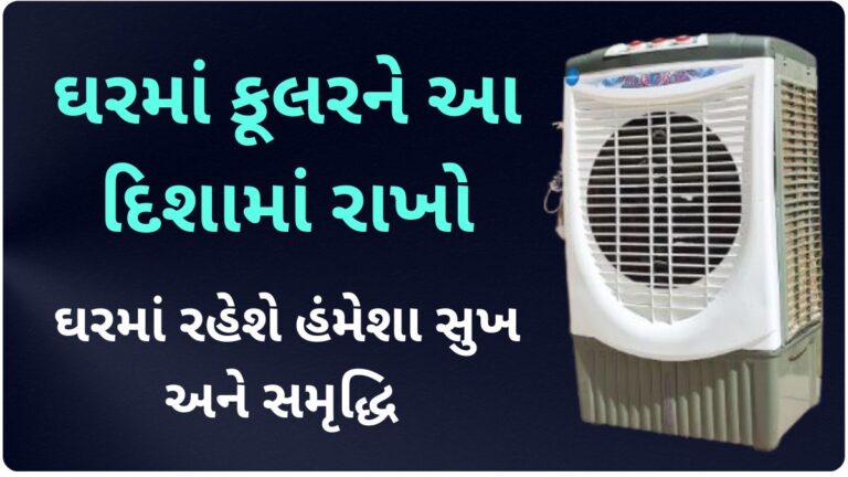 વાસ્તુ ટિપ્સઃ ઘરમાં કૂલરને આ દિશામાં રાખો, ઘરમાં રહેશે હંમેશા સુખ અને સમૃદ્ધિ