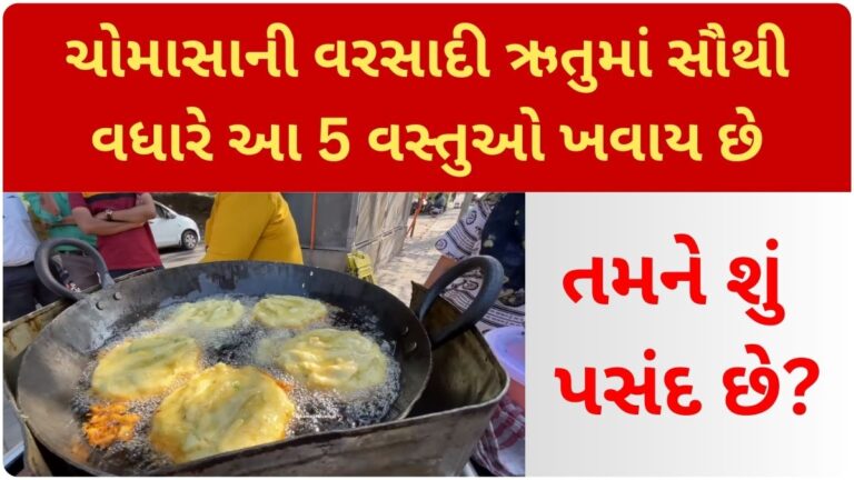 ચોમાસાની વરસાદી ઋતુમાં સૌથી વધારે આ 5 વસ્તુઓ ખવાય છે, તમને શું પસંદ છે?