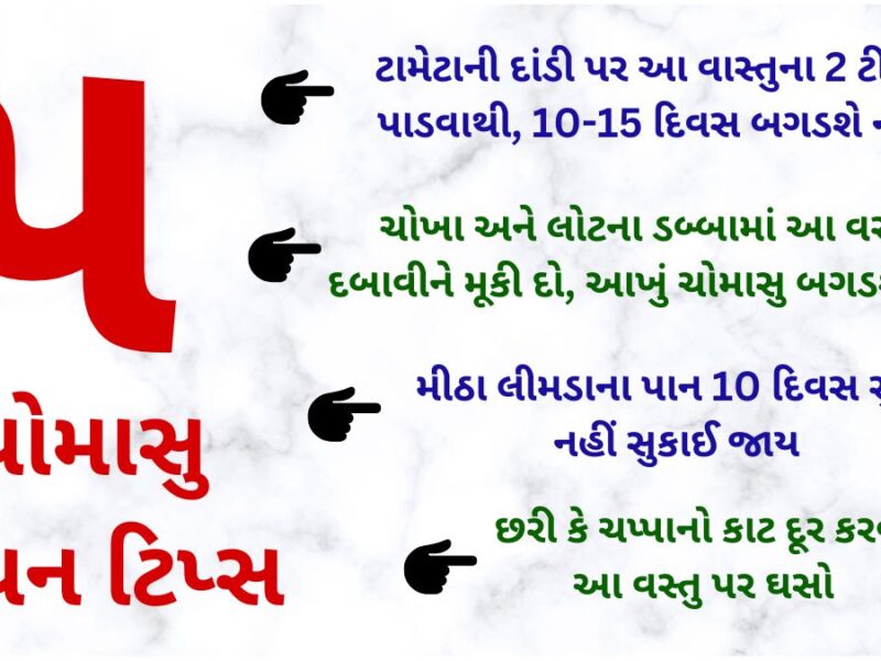 monsoon kitchen tips in gujarati