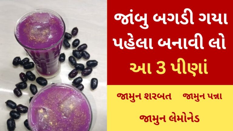 જાંબુ બગડી ગયા પહેલા બનાવી લો આ 3 પીણાં, જાણો રેસિપી