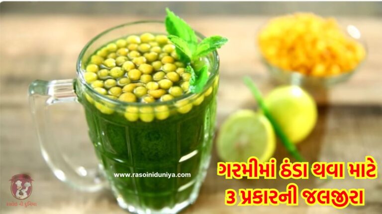 ઉનાળાની ગરમીમાં ઠંડા થવા માટે 3 રીતે જલજીરા બનાવો