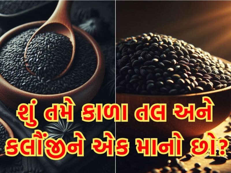 difference between black sesame seeds and kalonji