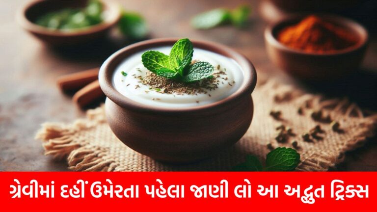 ગ્રેવીમાં દહીં ઉમેરતા પહેલા જાણી લો આ 8 અદ્ભુત ટ્રિક્સ, દહીં નહીં ફાટે